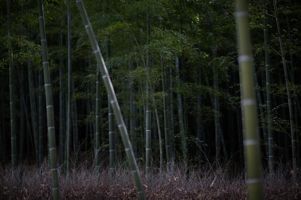Kyoto Fushimi Ohana Muko エクステリア 写真