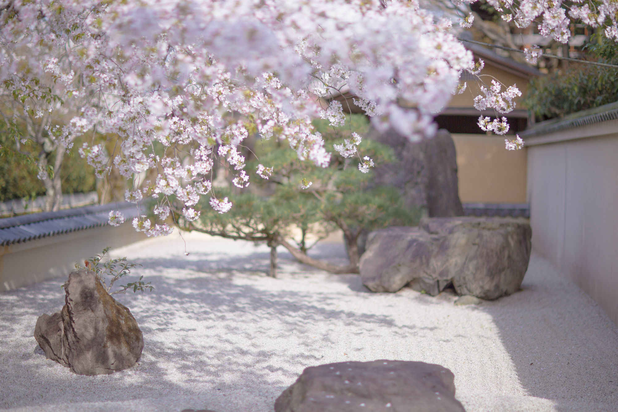 Kyoto Fushimi Ohana Muko エクステリア 写真